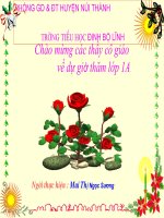 Tập đọc : Đầm sen (tiết 2)