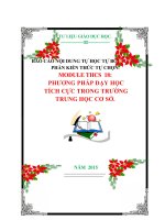 BÁO CÁO NỘI DUNG TỰ HỌC TỰ BỒI DƯỠNG PHẦN KIẾN THỨC TỰ CHỌN. MODULE THCS  18:  PHƯƠNG PHÁP DẠY HỌC  TÍCH CỰC TRONG TRƯỜNG  TRUNG HỌC CƠ SỞ.