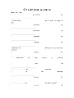 ÔN TẬP ANH 12 UNIT 8