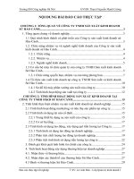 BÁO CÁO THỰC TẬP-CÔNG TY TNHH SẢN XUẤT KINH DOANH SỨ HẢO CẢNH