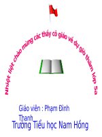 Chinh ta : Hanh trinh cua bay ong