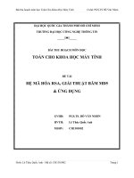 Tiểu luận môn toán học cho khoa học máy tính HỆ MÃ HÓA RSA, GIẢI THUẬT BĂM MD5 & ỨNG DỤNG