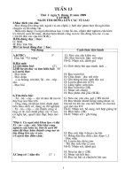 giaoan lop 5 tong hop