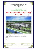 THUYẾT MINH BÁO CÁO ĐẦU TƯ XÂY DỰNG DỰ ÁN NHÀ MÁY SẢN XUẤT BỘT GIẤY GIA LAI