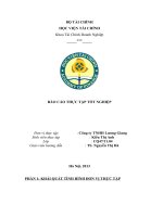 BÁO CÁO THỰC TẬP TẠI Công ty TNHH Lương Giang