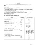 Giáo án thể dục lớp 2 chủ đề giệt các con vật có hại