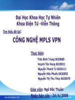 BÁO CÁO THỰC TẬP-CÔNG NGHỆ MPLS VPN