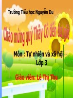 TNXHbai trái đất quả địa cầu