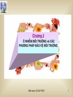 BÁO CÁO-CHƯƠNG 3-Ô NHIỄM MÔI TRƯỜNG VÀ CÁC PHƯƠNG PHÁP BẢO VỆ MÔI TRƯỜNG