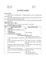 Giáo án Luyện từ và câu lớp 5 HK 1_CKTKN