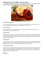 Yến D81- Tác dụng kỳ diệu của cà chua