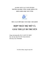 Tiểu luận môn toán học cho khoa học máy tính HỢP NHẤT HỆ MỜ VÀ GIẢI THUẬT DI TRUYỀN