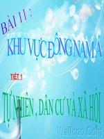 bài 11: khu vực Đông Nam Á (tiết 1) khác