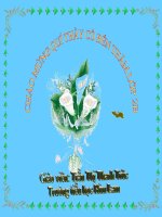 TN về các môn học - tuần 8