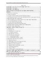 BÁO CÁO THỰC TẬP-BÁO CÁO ĐMT DỰ ÁN NGHĨA ĐỊA THÀNH PHỐ QUẢNG NGÃI