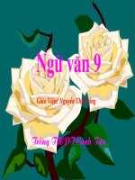 van ban: vieng lang bac