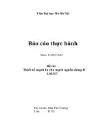 BÁO CÁO THỰC TẬP-Thiết kế mạch In cho mạch nguồn dùng IC   LM317