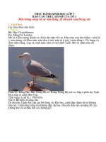 bao cao thuc hanh ve moi truong song va su van dong di chuyen cua dong vat