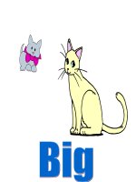 TÍNH TỪ TRONG TIẾNG ANH