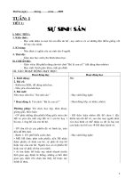 Giáo án Khoa học lớp 5 cả năm_CKTKN_Bộ 9