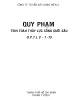 TC-QP tính toán thuỷ lực Cong Duoi Sau