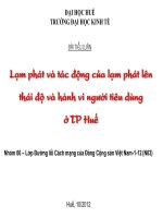 BÁO CÁO THỰC TẬP-LẠM PHÁT VÀ TÁC ĐỘNG CỦA LẠM PHÁT LÊN THÁI ĐỘ VÀ HÀNH VI NGƯỜI TIÊU DÙNG