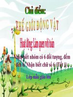 TOÁN SỐ 6 ( TIẾT 1)