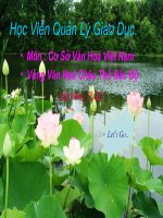 van hoa vung cahu tho bac bo