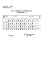 BÁO CÁO THỐNG KÊ CHẤT LƯỢNG GHKII TOÁN - TIẾNG VIỆT