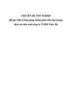 luận văn quản trị kinh doanh Một số biện pháp nhằm phát triển thị trường thức ăn chăn nuôi của công ty TNHH Vĩnh Hà