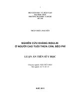 Nghiên cứu kháng Insulin ở người cao tuổi thừa cân, béo phì