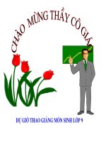 Bài 19: Mối Quan Hệ Của Gen và Tính Trạng