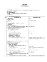 Giáo án Khoa học lớp 5 cả năm_CKTKN_Bộ 7