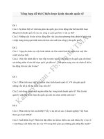 Tổng hợp đề thi Chiến lược kinh doanh quốc tế