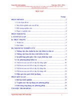 MỘT SỐ KINH NGHIỆM KIỂM TRA BÀI CŨ CÓ HIỆU QUẢ TRONG VIỆC DẠY HỌCBỘ MÔN TIẾNG ANH LỚP 5