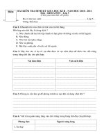 Đề & đáp án Khoa học 5