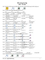 Đề cương ôn tập khối 4