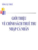 CHÍNH SÁCH THUẾ THU NHẬP CÁ NHÂN