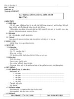 Giáo án Âm nhạc lớp 9 trọn bộ_CKTKN_Bộ 20