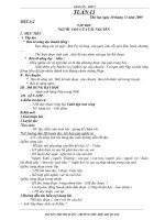 Giáo án lớp 3 Tuần 13_CKT