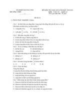 ( DE+ DAP AN)  HOC KI 2 NAM  2011