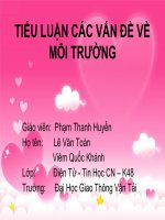 BÁO CÁO THỰC TẬP-TIỂU LUẬN CÁC VẤN ĐỀ VỀ MÔI TRƯỜNG