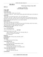 Giáo án lớp 3 Tuần 8