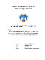 GIẢI PHÁP NHẰM NÂNG CAO CHẤT LƯỢNG TÍN DỤNG TẠI CHI NHÁNH NGÂN HÀNG NÔNG NGHIỆP VÀ PHÁT TRIỂN NÔNG THÔN HUYỆN MÊ LINH.DOC