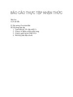 BÁO CÁO THỰC TẬP TẠI TRẠM BIẾN ÁP 110 KV LIÊN TRÌ ĐÀ NẴNG (E11)