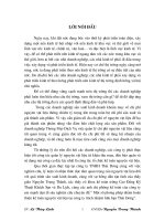 Một số phương pháp nhằm hoàn thiện kế toán nguyên vật liệu tại công ty trách nhiệm hữu hạn Thái Dương