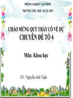BÁO CÁO THỰC TẬP-Phòng một số bệnh do thiếu chất dinh dưỡng-KHOA HỌC