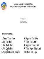 BÁO CÁO THỰC TẬP THUẾ TÀI NGUYÊN VÀ THUẾ MÔI TRƯỜNG