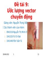 BÁO CÁO THỰC TẬP-ĐỀ TÀI-Ước lượng vector chuyển động
