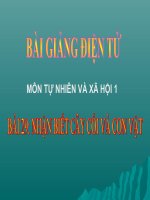 BÀI 29 NHẬN BIẾT CÂY CỐI VÀ CON VẬT